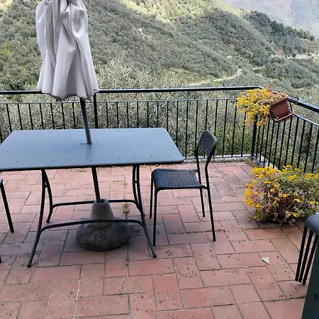 Il Giglio
